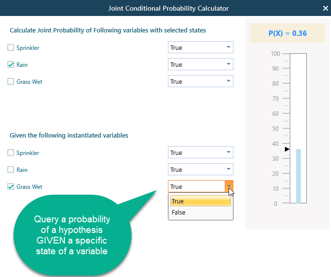 query bayesian network