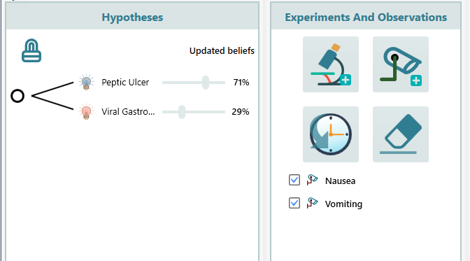 hypothesis updates