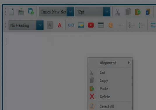 Video Demonstration for Rational Will